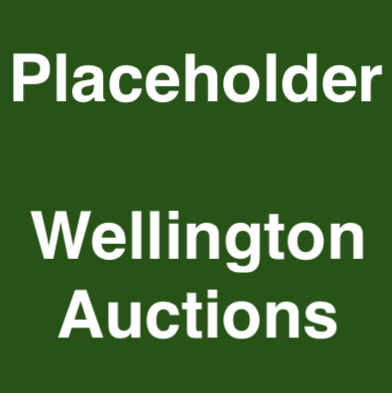 Wellington Auctions